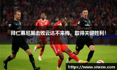优游